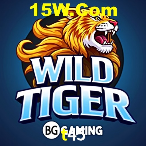 t45.com